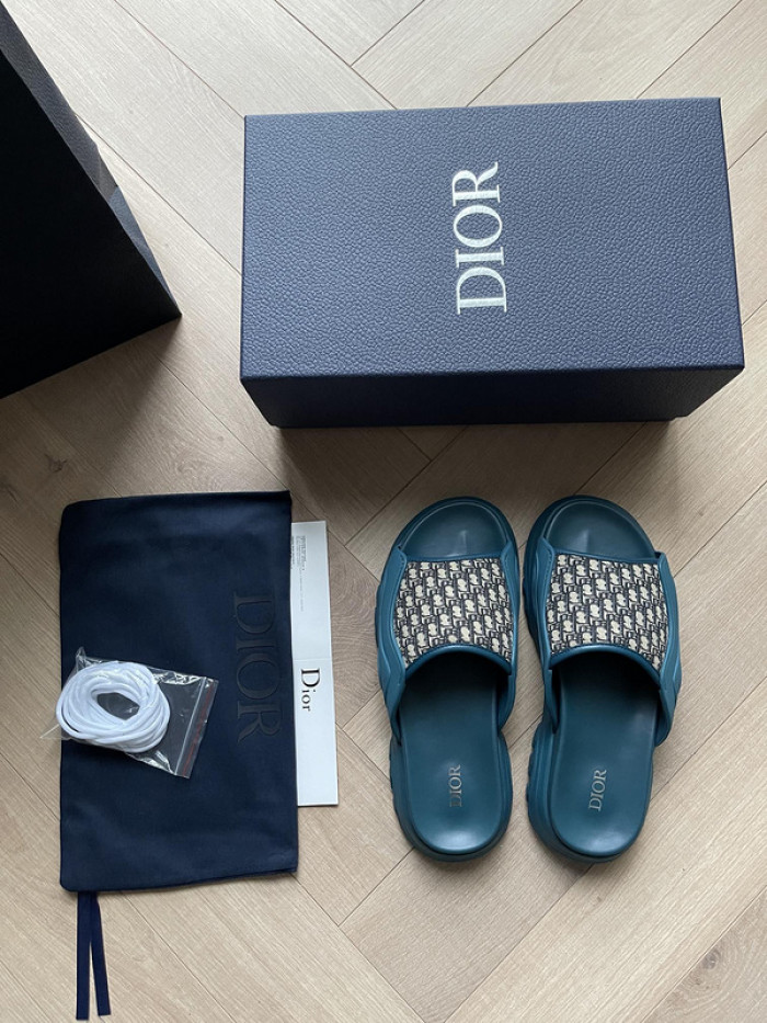 D1R* SLIDE copshoe DR-SLIDE 007