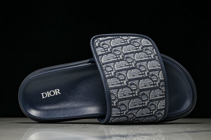 D1R* SLIDE copshoe DR-SLIDE 030